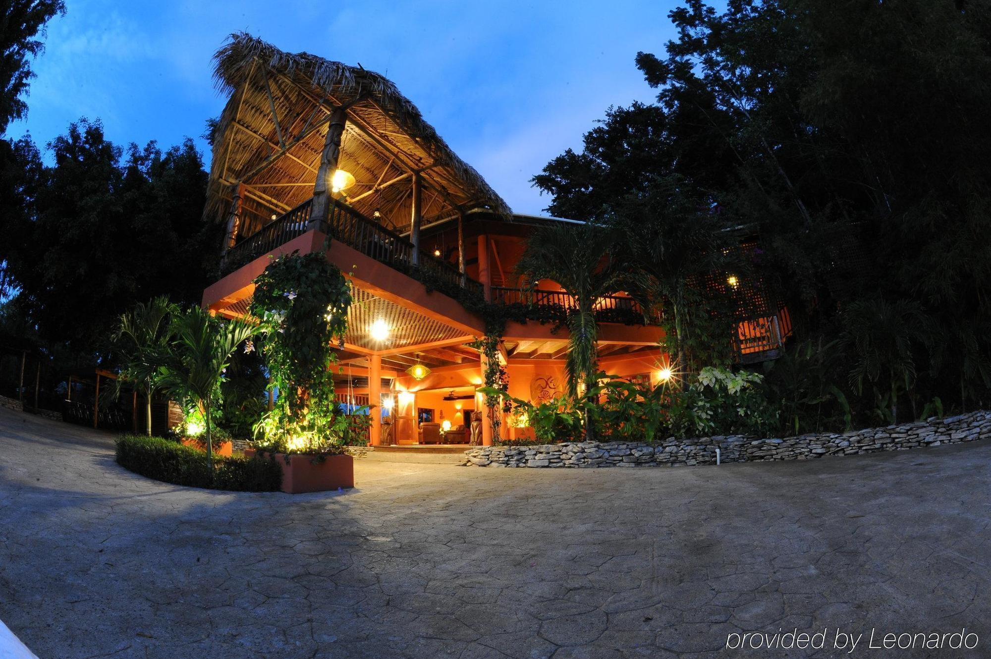 Machaca Hill Rainforest Canopy Lodge 蓬塔戈尔达 外观 照片