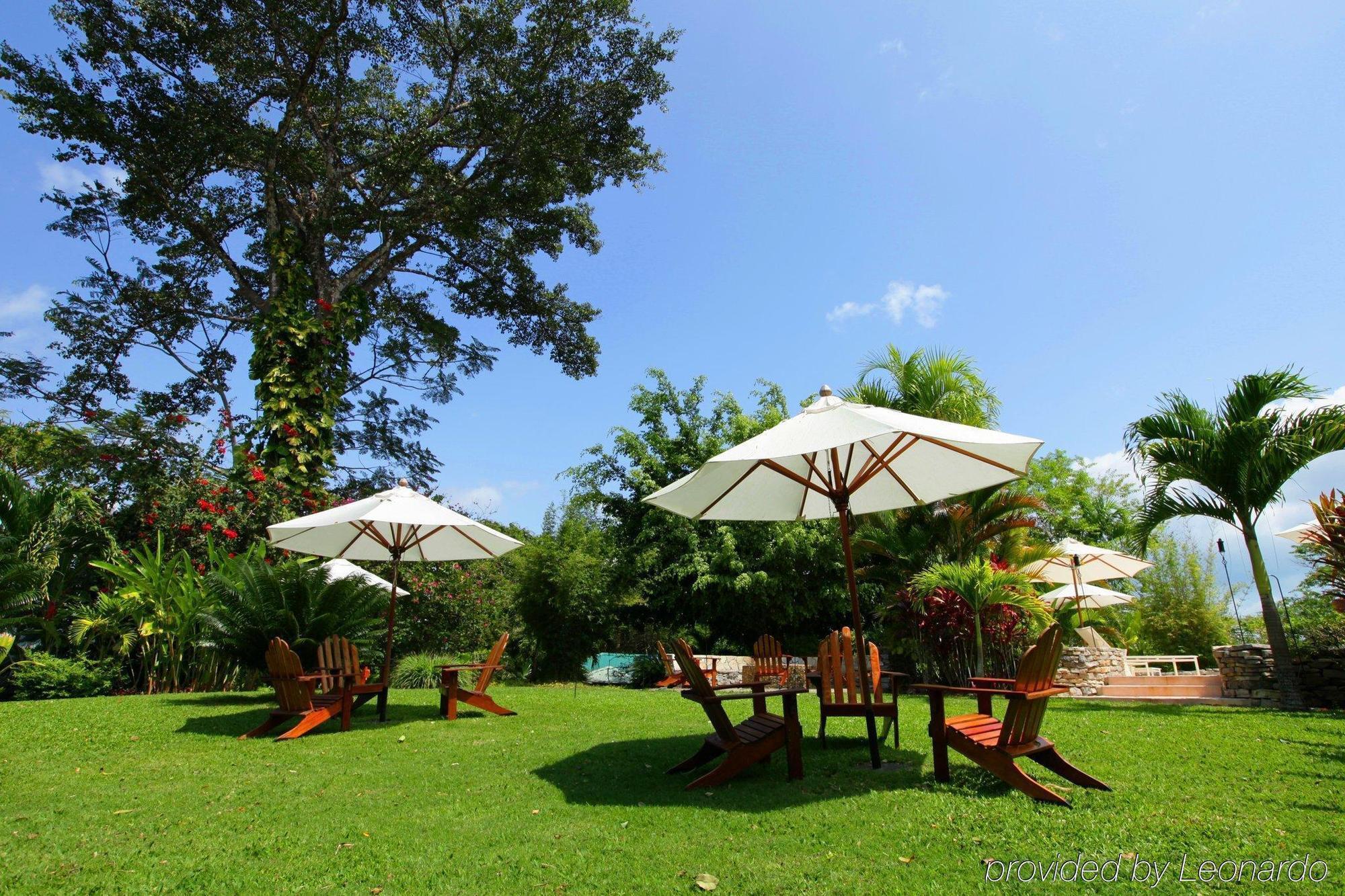 Machaca Hill Rainforest Canopy Lodge 蓬塔戈尔达 外观 照片