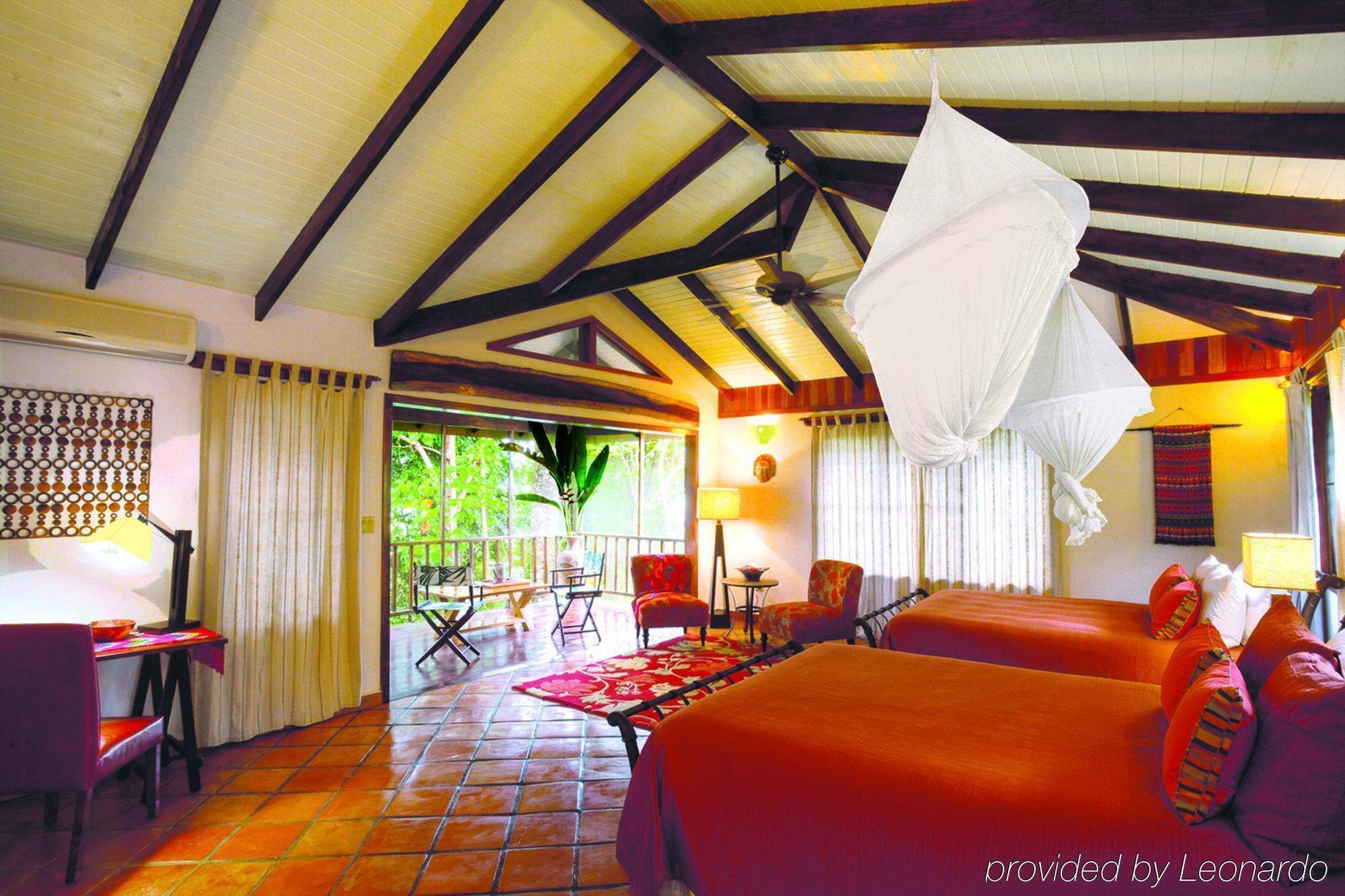 Machaca Hill Rainforest Canopy Lodge 蓬塔戈尔达 外观 照片