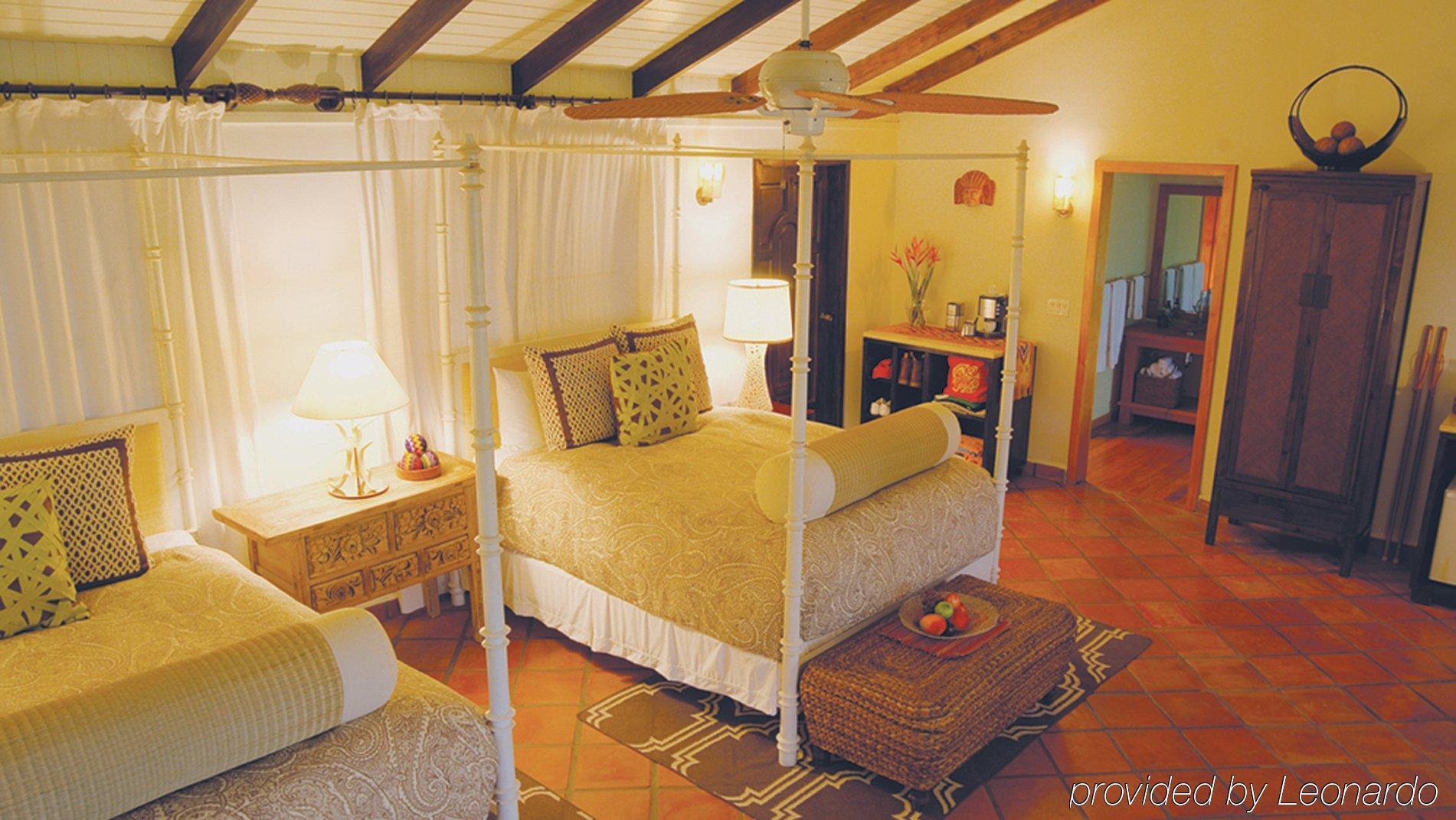 Machaca Hill Rainforest Canopy Lodge 蓬塔戈尔达 外观 照片