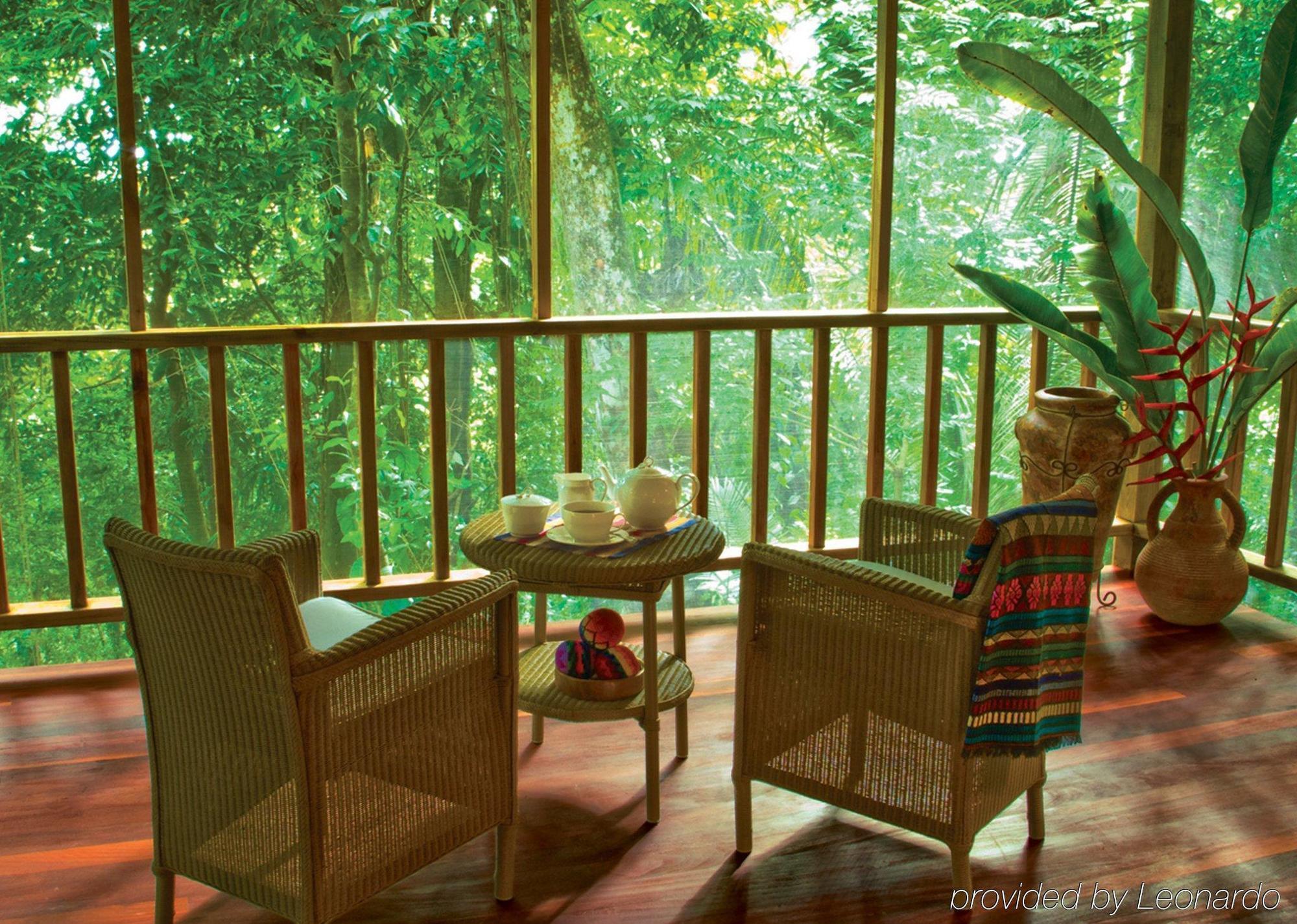 Machaca Hill Rainforest Canopy Lodge 蓬塔戈尔达 外观 照片