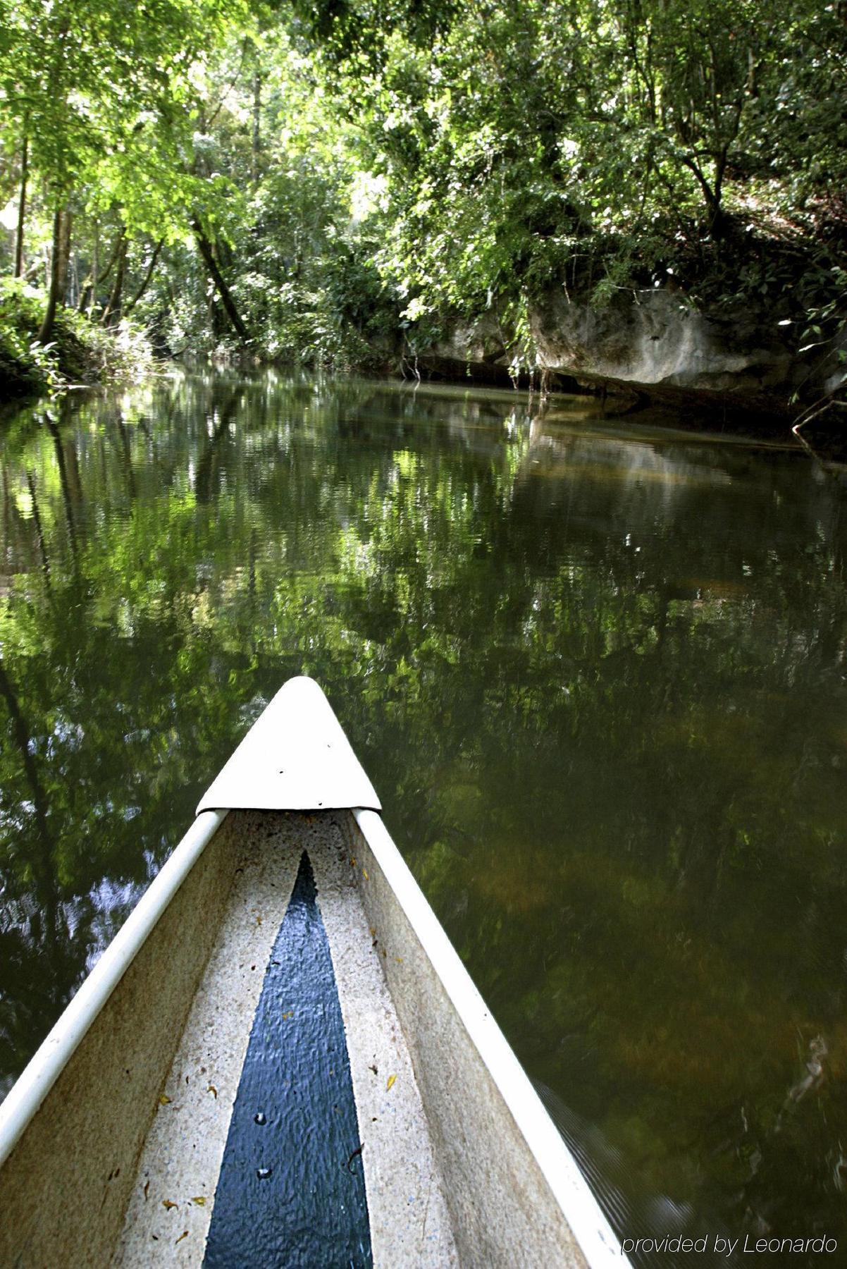 Machaca Hill Rainforest Canopy Lodge 蓬塔戈尔达 外观 照片
