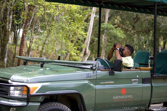 Machaca Hill Rainforest Canopy Lodge 蓬塔戈尔达 外观 照片