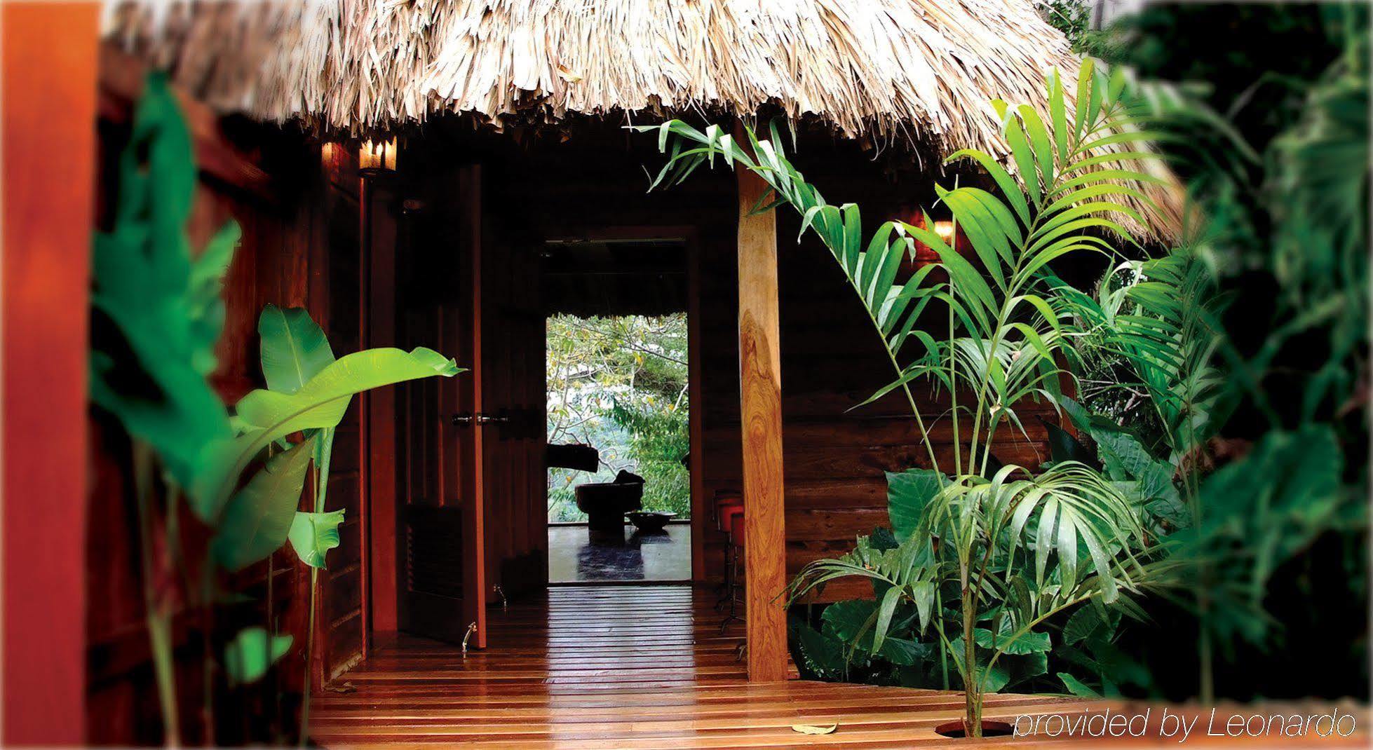 Machaca Hill Rainforest Canopy Lodge 蓬塔戈尔达 外观 照片